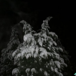 snow1