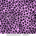 background images