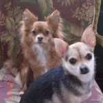 My Babies