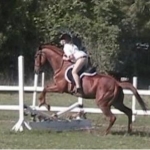 Our Horses
