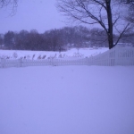 Snow