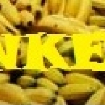 MONKEY LOGO