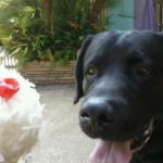BFF
