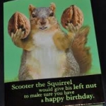 jus cute stuff
