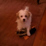 Jackson