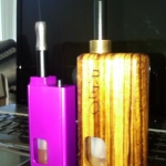 My Beautiful Zebra Woodvil!!!