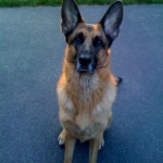 Duke