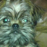 Hank