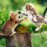MY CUTE PIX!