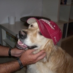 My Dog Hank
