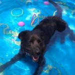 Fun IN the sun