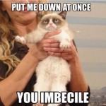 Grumpy Cat