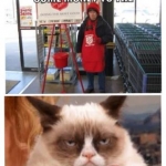 Grumpy Cat #2