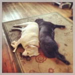 The girls....