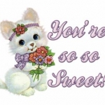 Misc Images