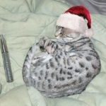 xmas