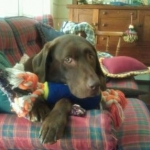 millie