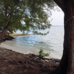 Starfish Point
