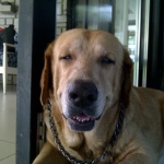 Quezon City 20111113 00159