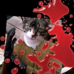 Tommy the killer!!