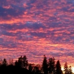 Sunset in front of the house one evening.