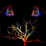 color tree three