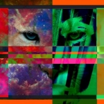 lions stratiform series 2012