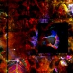 quizative stratiform series 2012