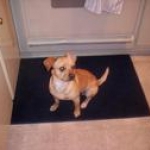 scrappy