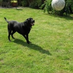 The ball's coming... !!!