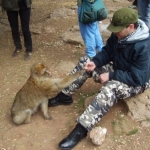 Me and Monkey in Africa