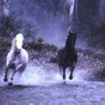 black and white running