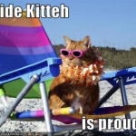 Gay cat