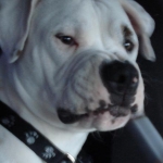 This is what Kilo thinks about smoking real cigs...