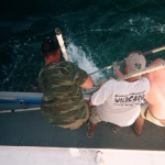 Trying to get the shark in the boat.