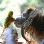 08 Bub & Sunni -  EVERYONE gets a kiss!