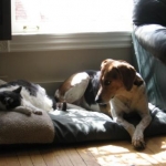 Sydney and Kiki