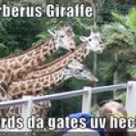 Cerberus Giraffe