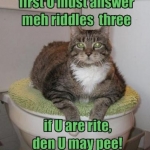riddles to pee