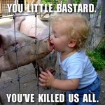 Who started the swine flu?!