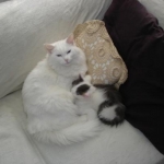Lucretia and Nicholai