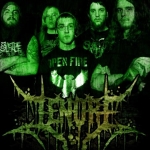 my band