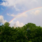 nashville rainbow 1(2)