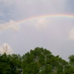 nashville rainbow 2