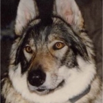 sady