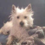 just got a bath