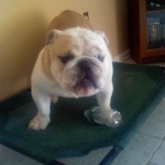 my boy