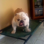 my boy on his hamoc