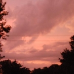 DSC 0062 858
