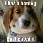 hotdog